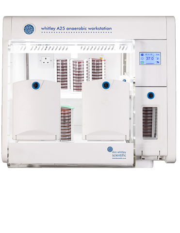 Whitley A25 Workstation